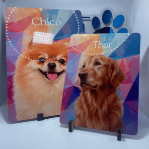 Pet Personalizados - Plaquinha Linha Premium, Alto Brilho e Resistência